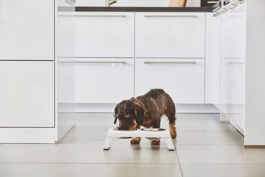 MiaCara Desco Hondenvoerbak Small Aluminium Wit 8 MiaCara Desco Hondenvoerbak Small Aluminium Wit - Afbeelding 6