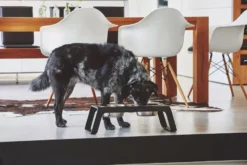 MiaCara Desco Hondenvoerbak Medium Walnoot -Flos || EMU Winkel x886x886 miacara desco hondenvoerbak medium26.jpg.pagespeed.ic .IFqqhlCQZt 2