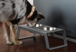 MiaCara Desco Hondenvoerbak Large Aluminium Wit -Flos || EMU Winkel x886x886 miacara desco hondenvoerbak medium30.jpg.pagespeed.ic .hO8vdqdI84 2