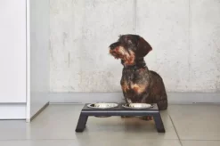 MiaCara Desco Hondenvoerbak Small Aluminium Wit 11 MiaCara Desco Hondenvoerbak Small Aluminium Wit -Flos || EMU Winkel x886x886 miacara desco hondenvoerbak medium34.jpg.pagespeed.ic .1Ds QXa7yc 5