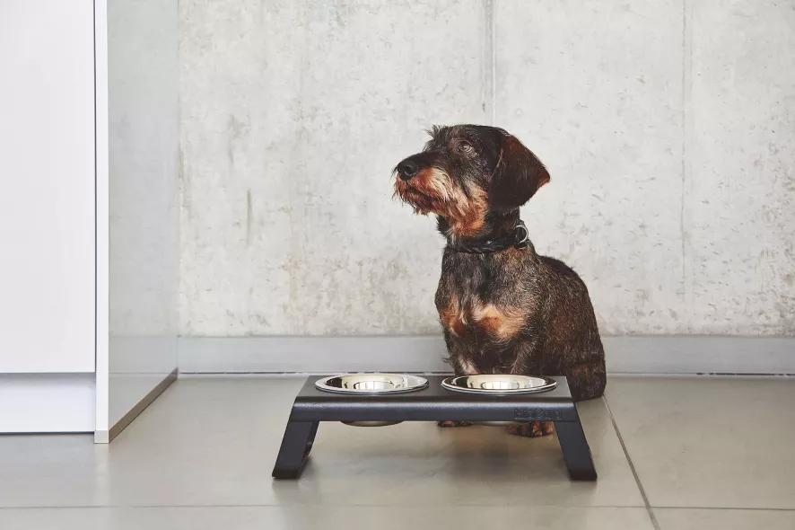 MiaCara Desco Hondenvoerbak Small Aluminium Wit 5 MiaCara Desco Hondenvoerbak Small Aluminium Wit - Afbeelding 3