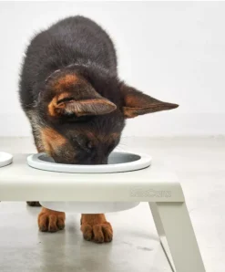 MiaCara Desco Hondenvoerbak Porselein Medium Zwart -Flos || EMU Winkel x886x886 miacara desco hondenvoerbak porselein small10.jpg.pagespeed.ic .AMcJWS1AjF 5