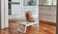 MiaCara Desco Hondenvoerbak Porselein Medium Zwart -Flos || EMU Winkel x886x886 miacara desco hondenvoerbak porselein small11.jpg.pagespeed.ic .hjPOMS Fdl 5