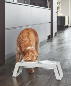 MiaCara Desco Hondenvoerbak Porselein Medium Essen Zwart -Flos || EMU Winkel x886x886 miacara desco hondenvoerbak porselein small13.jpg.pagespeed.ic .oUbyeaamyF 6