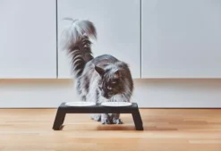 MiaCara Desco Kattenvoerbak Porselein Walnoot -Flos || EMU Winkel x886x886 miacara desco kattenvoerbak porselein9.jpg.pagespeed.ic .HZkilIVJP9 2