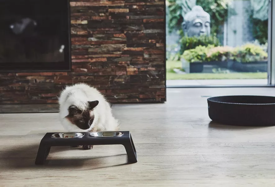 MiaCara Desco Kattenvoerbak Aluminium Wit 6 MiaCara Desco Kattenvoerbak Aluminium Wit - Afbeelding 4