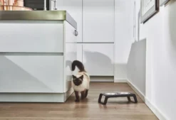 MiaCara Desco Kattenvoerbak Essen Grijs -Flos || EMU Winkel x886x886 miacara desco kattenvoerbak22.jpg.pagespeed.ic .nCX60xu3I 2