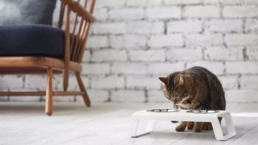 MiaCara Desco Kattenvoerbak Aluminium Zwart 4 MiaCara Desco Kattenvoerbak Aluminium Zwart - Afbeelding 2