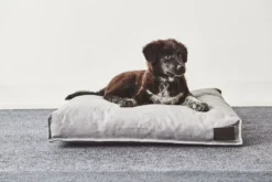 MiaCara Divo Hondenkussen Medium Pebble -Flos || EMU Winkel x886x886 miacara divo hondenkussen small.jpg.pagespeed.ic .VE 6keVMre 1