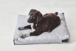 MiaCara Divo Hondenkussen Medium Pebble -Flos || EMU Winkel x886x886 miacara divo hondenkussen small1.jpg.pagespeed.ic .YQ89j5Z2A8 1