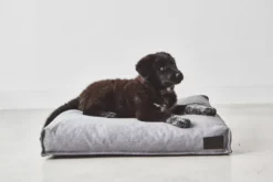 MiaCara Divo Hondenkussen Medium Pebble -Flos || EMU Winkel x886x886 miacara divo hondenkussen small2.jpg.pagespeed.ic .S5alnara7G 1