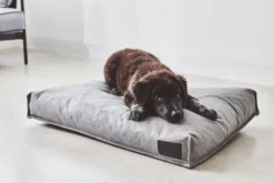 MiaCara Divo Hondenkussen Medium Slate -Flos || EMU Winkel x886x886 miacara divo hondenkussen small3.jpg.pagespeed.ic .h9QXAPk FZ