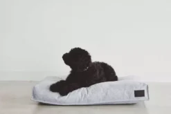 MiaCara Divo Hondenkussen Medium Slate -Flos || EMU Winkel x886x886 miacara divo hondenkussen small5.jpg.pagespeed.ic .sUtZW6R9mS