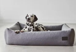 MiaCara Divo Hondenmand Small Slate -Flos || EMU Winkel x886x886 miacara divo hondenmand small29.jpg.pagespeed.ic .bcWxaZZ3Ut 4