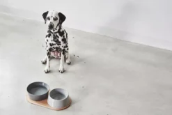 MiaCara Doppio Hondenvoerbak Small Beton -Flos || EMU Winkel x886x886 miacara doppio hondenvoerbak met blad small2.jpg.pagespeed.ic .tUs uRjTaH 4