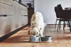 MiaCara Doppio Hondenvoerbak Medium Pine -Flos || EMU Winkel x886x886 miacara doppio hondenvoerbak met blad small5.jpg.pagespeed.ic .HcMPezkce3