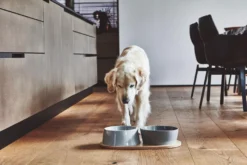 MiaCara Doppio Hondenvoerbak Small Beton -Flos || EMU Winkel x886x886 miacara doppio hondenvoerbak met blad small6.jpg.pagespeed.ic .VrybShbAqK 4