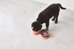 MiaCara Doppio Hondenvoerbak Small Berry -Flos || EMU Winkel x886x886 miacara doppio hondenvoerbak met blad small7.jpg.pagespeed.ic .PAdqRx0uvZ 3