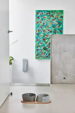 MiaCara Doppio Hondenvoerbak Small Beton -Flos || EMU Winkel x886x886 miacara doppio hondenvoerbak met blad small9.jpg.pagespeed.ic .chim0Gxcpo 4