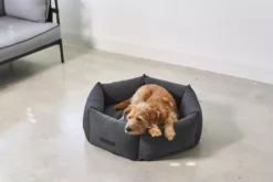 MiaCara Felice Hondenmand Ø60 Small Sand -Flos || EMU Winkel x886x886 miacara felice hondenmand large10.jpg.pagespeed.ic .lJIDxlchu0 4