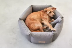 MiaCara Felice Hondenmand Large Ø100 Anthracite -Flos || EMU Winkel x886x886 miacara felice hondenmand large2.jpg.pagespeed.ic .s88Yfm XQC 2