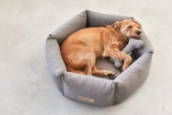 MiaCara Felice Hondenmand Ø60 Small Sand -Flos || EMU Winkel x886x886 miacara felice hondenmand large4.jpg.pagespeed.ic .1YkWjr7xok 4