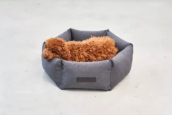 MiaCara Felice Hondenmand Large Ø100 Sand -Flos || EMU Winkel x886x886 miacara felice hondenmand large5.jpg.pagespeed.ic .dqAwJt zBK 1