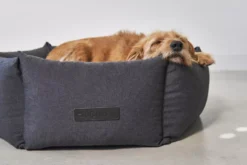 MiaCara Felice Hondenmand Large Ø100 Sand -Flos || EMU Winkel x886x886 miacara felice hondenmand large9.jpg.pagespeed.ic .0LZ2tOuOYV 1