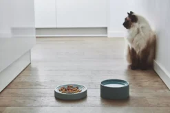 MiaCara Piatto Kattenvoerbak Ø16 Berry -Flos || EMU Winkel x886x886 miacara fresco kattenvoerbak5.jpg.pagespeed.ic .nGAlJjMd e