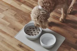 MiaCara Lento Hondenvoerbak Inzetstuk Small Slate -Flos || EMU Winkel x886x886 miacara lento hondenvoerbak inzetstuk large2.jpg.pagespeed.ic .kl9hHNbIw3