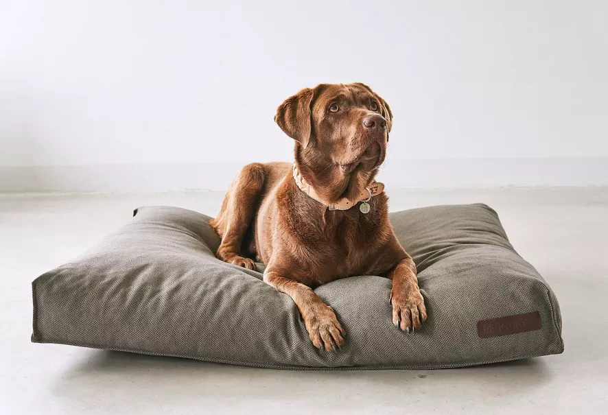 MiaCara Mare Hondenkussen Large Rock 7 MiaCara Mare Hondenkussen Large Rock - Afbeelding 5