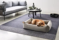 MiaCara Mare Hondenmand Large Rock -Flos || EMU Winkel x886x886 miacara mare hondenmand small2.jpg.pagespeed.ic .2vIqdd9l4D