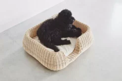 MiaCara Mio Hondenmand Medium Cream -Flos || EMU Winkel x886x886 miacara mio hondenmand medium2.jpg.pagespeed.ic .Y1MHT5K5Qc