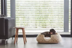 MiaCara Mio Hondenmand Medium Hemp -Flos || EMU Winkel x886x886 miacara mio hondenmand medium3.jpg.pagespeed.ic .87nERkEzq5 1