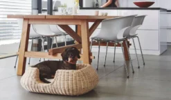 MiaCara Mio Hondenmand Medium Cream -Flos || EMU Winkel x886x886 miacara mio hondenmand medium6.jpg.pagespeed.ic .dhYDDV5s1G