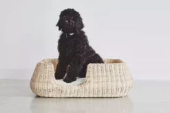 MiaCara Mio Hondenmand Medium Cream -Flos || EMU Winkel x886x886 miacara mio hondenmand medium9.jpg.pagespeed.ic .ep8YhtiyEp