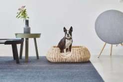 MiaCara Mio Hondenmand Small Anthracite -Flos || EMU Winkel x886x886 miacara mio hondenmand small1.jpg.pagespeed.ic .yKKqE8BR2u