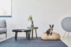 MiaCara Mio Hondenmand Small Anthracite -Flos || EMU Winkel x886x886 miacara mio hondenmand small2.jpg.pagespeed.ic .mSItWYhWlV