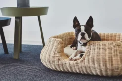 MiaCara Mio Hondenmand Small Anthracite -Flos || EMU Winkel x886x886 miacara mio hondenmand small4.jpg.pagespeed.ic .3aUbSdiIe6