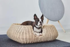 MiaCara Mio Hondenmand Small Anthracite -Flos || EMU Winkel x886x886 miacara mio hondenmand small5.jpg.pagespeed.ic .d 1F9YHrJR