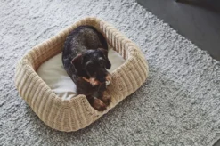 MiaCara Mio Hondenmand Small Anthracite -Flos || EMU Winkel x886x886 miacara mio hondenmand small8.jpg.pagespeed.ic .cuiQbLjkMo