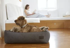 MiaCara Nube Hondenmand Small Smoke 10 MiaCara Nube Hondenmand Small Smoke -Flos || EMU Winkel x886x886 miacara nube hondenmand small19.jpg.pagespeed.ic .M2SSgd3cu 1 2