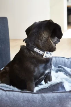 MiaCara Nube Hondenmand Medium Salt&pepper -Flos || EMU Winkel x886x886 miacara nube hondenmand small21.jpg.pagespeed.ic .flBGihibq1 1