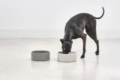 MiaCara Scodella Hondenvoerbak Large Cement -Flos || EMU Winkel x886x886 miacara scodella hondenvoerbak large.jpg.pagespeed.ic .DQ4N LwLQH