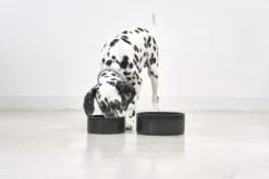 MiaCara Scodella Hondenvoerbak Large Greige -Flos || EMU Winkel x886x886 miacara scodella hondenvoerbak large1.jpg.pagespeed.ic .6RW7 9Fw M 2