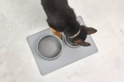 MiaCara Scodella Hondenvoerbak Large Cement -Flos || EMU Winkel x886x886 miacara scodella hondenvoerbak large4.jpg.pagespeed.ic .PlhIR9G4N