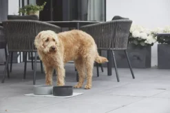 MiaCara Scodella Hondenvoerbak Large Cement -Flos || EMU Winkel x886x886 miacara scodella hondenvoerbak large5.jpg.pagespeed.ic .RJYgS1QFxZ