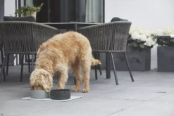 MiaCara Scodella Hondenvoerbak Large Greige -Flos || EMU Winkel x886x886 miacara scodella hondenvoerbak large6.jpg.pagespeed.ic .Nc0s0FVbuE 1