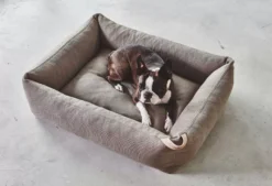 MiaCara Sonno Hondenmand Large Taupe -Flos || EMU Winkel x886x886 miacara sonno hondenmand s8.jpg.pagespeed.ic . Nh70VuWIU 3