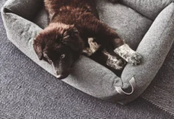 MiaCara Stella Hondenmand Medium Mottled Mocca -Flos || EMU Winkel x886x886 miacara stella hondenmand small5.jpg.pagespeed.ic .qi04m r7Br